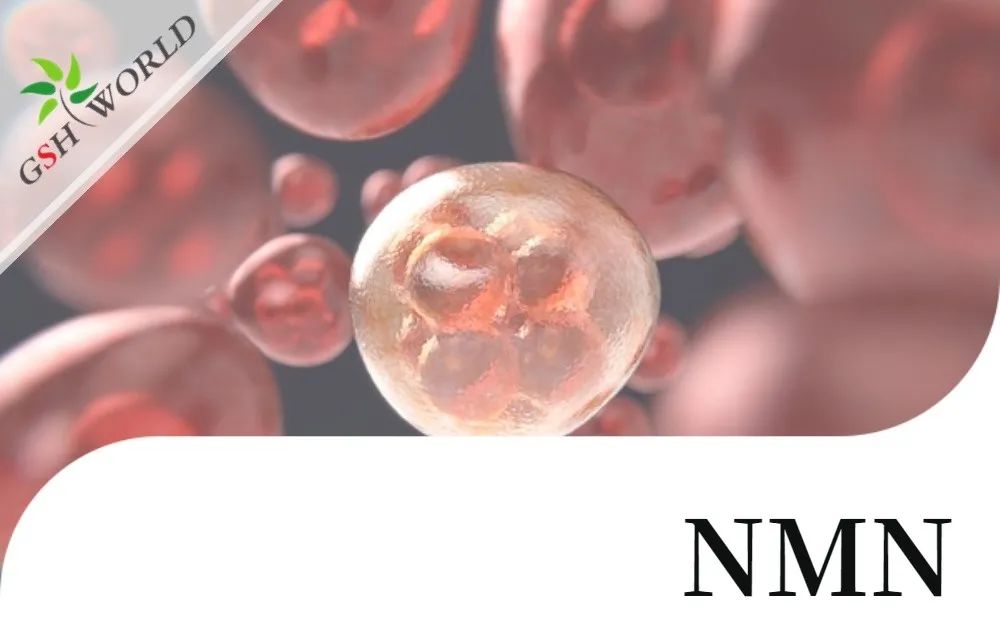 古特生物 古特生物