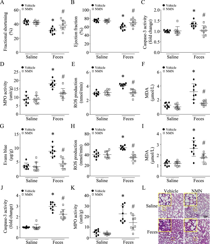 包含圖片、插圖等的外部文件。
對象名稱為 12967_2023_4767_Fig2_HTML.jpg