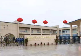 企業(yè)風(fēng)貌 企業(yè)風(fēng)貌