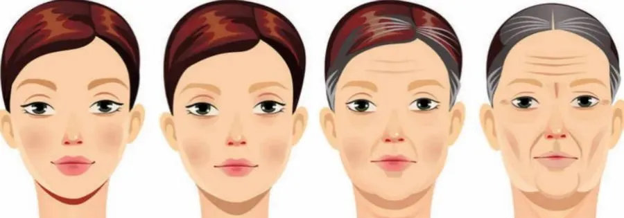 煙酰胺與NAD/NADH代謝