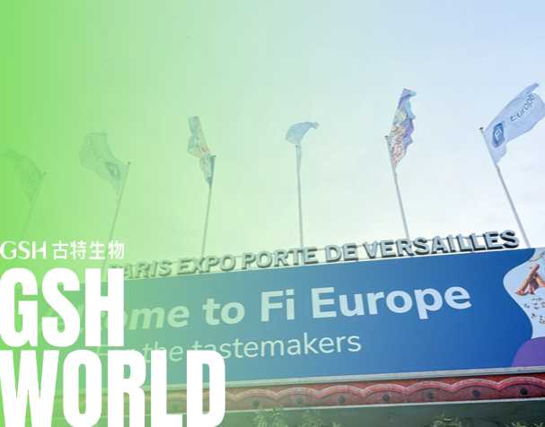 Fi Europe展會圓滿收官