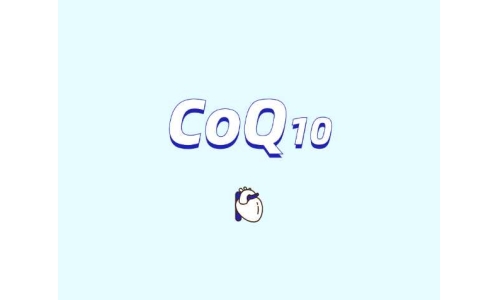 輔酶Q10在肥胖管理中的潛在作用
