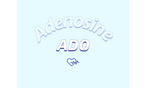 腺苷作為抗脫發外用制劑所發揮的作用