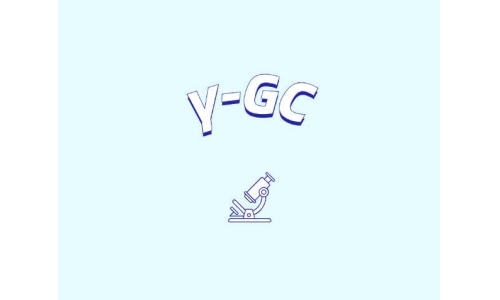 認(rèn)識γ-谷氨酰半胱氨酸