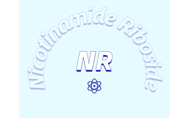 營養(yǎng)領(lǐng)域新寵煙酰胺核苷